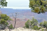 04052011_Grand Canyon Susan_96